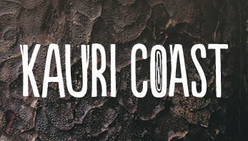 Kauri Coast